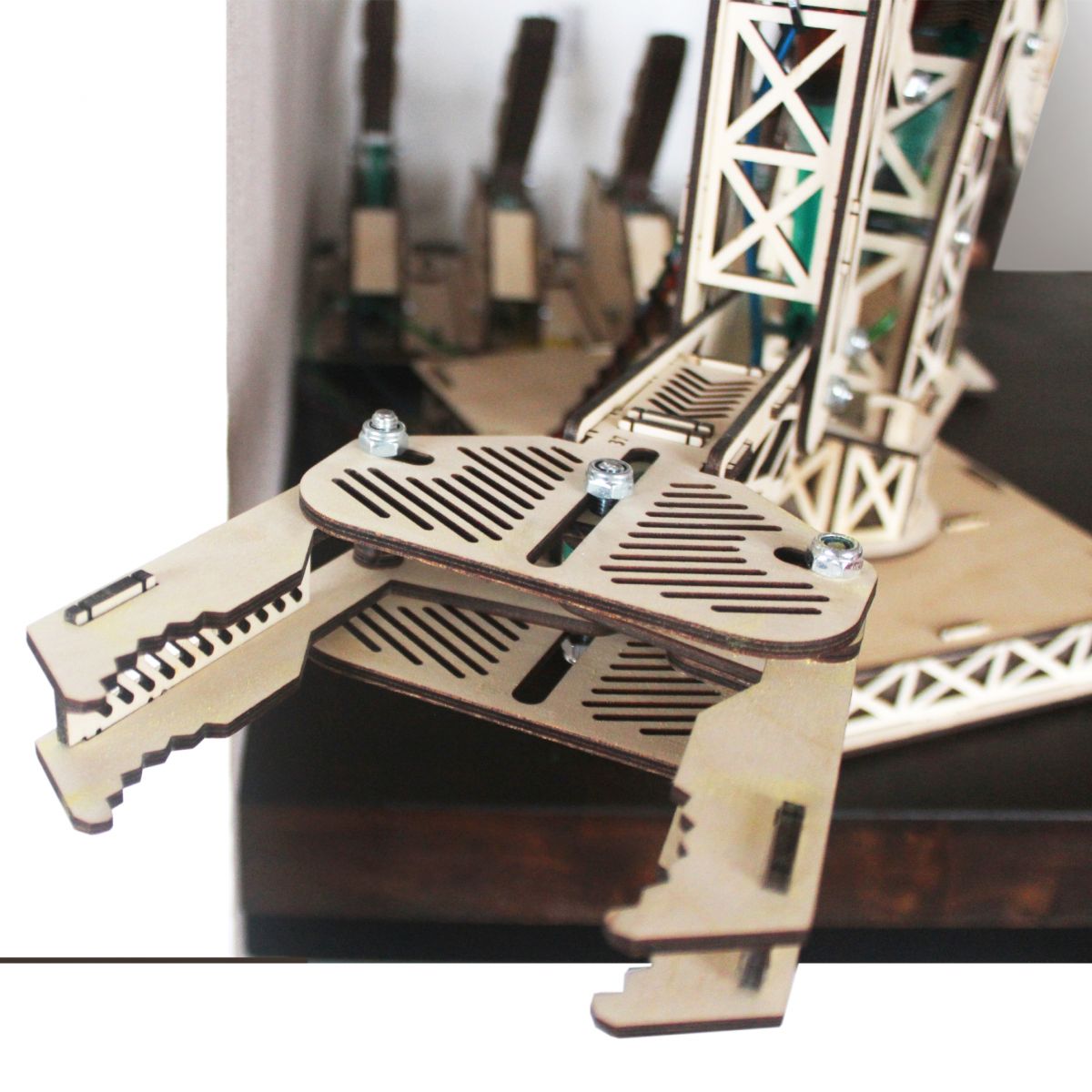 bg-1.jpg (63 483 bytes)